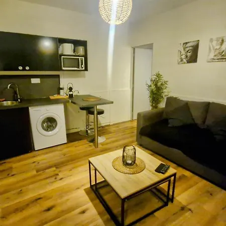 Laurema's Apartment Toulouse